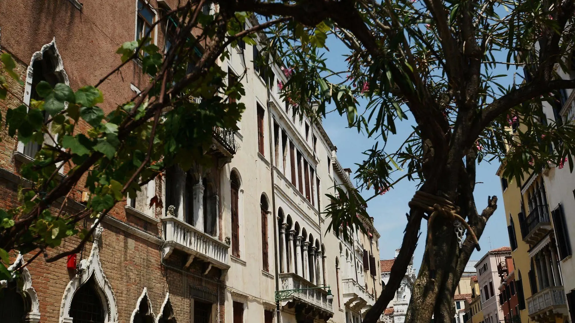 Ve.N.I.Ce. Cera Palazzo Grimani Lägenhet Venedig 0*,